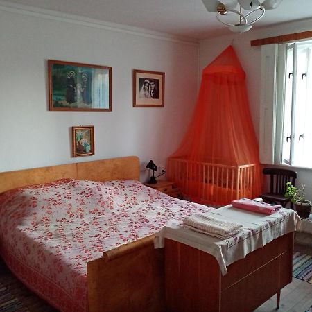 Affittacamere Vinyl House Strekov Esterno foto