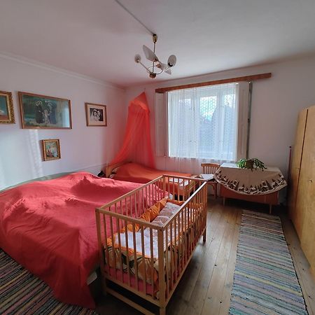 Affittacamere Vinyl House Strekov Esterno foto