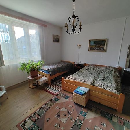 Affittacamere Vinyl House Strekov Esterno foto