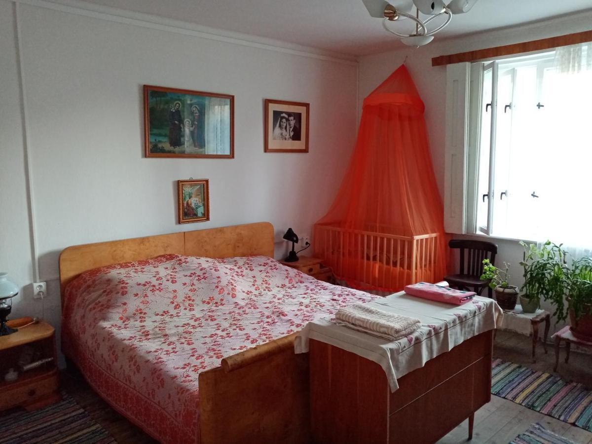 Affittacamere Vinyl House Strekov Esterno foto