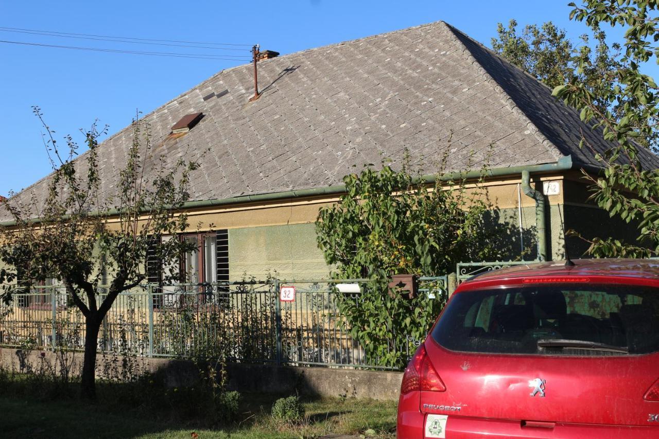 Affittacamere Vinyl House Strekov Esterno foto