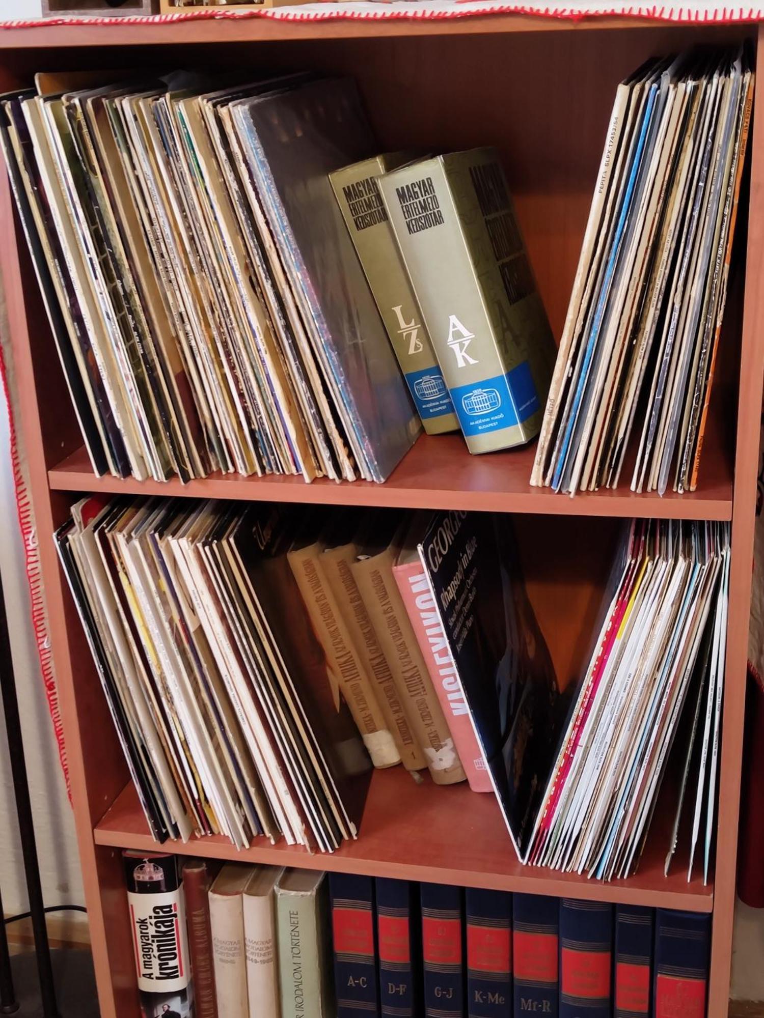 Affittacamere Vinyl House Strekov Esterno foto